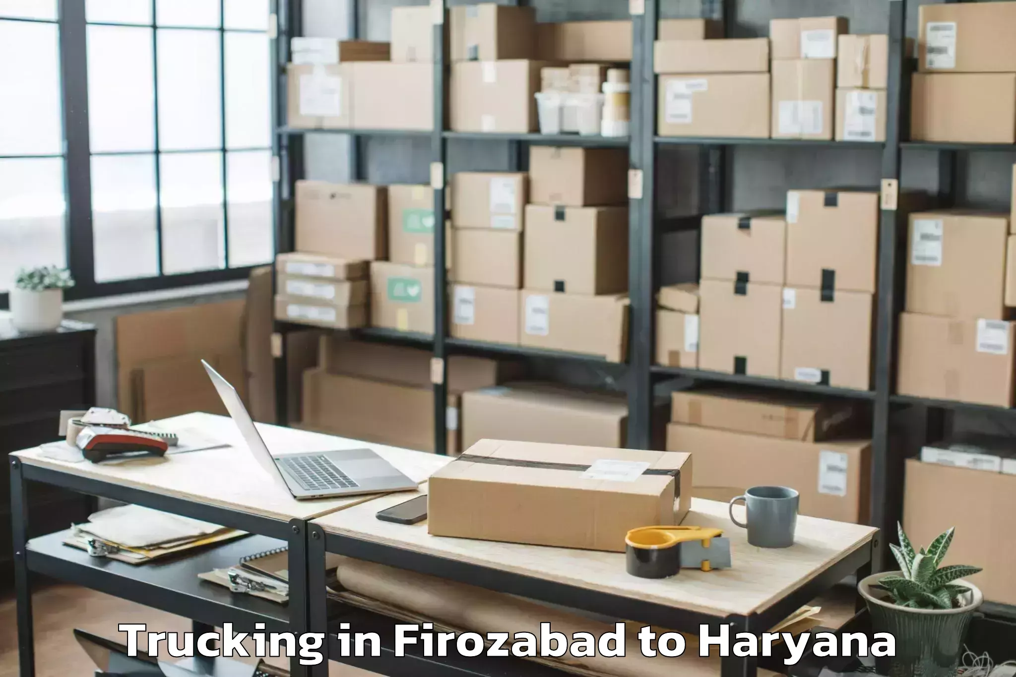 Affordable Firozabad to Lingayas University Faridabad Trucking